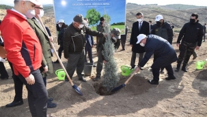 Milli ağaçlandırma gününde Manisa'da 77 bin fidan toprakla buluştu