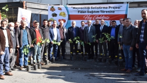 Salihli'de üreticilere incir fidan dağıtımı