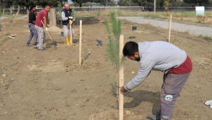 Turgutlu belediyesinin yeşil alan çalışması