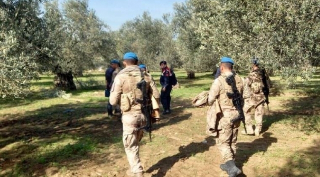 Zeytin hırsızlarının kabusu komando işbaşında