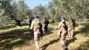 Zeytin hırsızlarının kabusu komando işbaşında