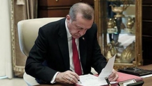 13 ili kapsayan sınır ticaretine düzenleme 