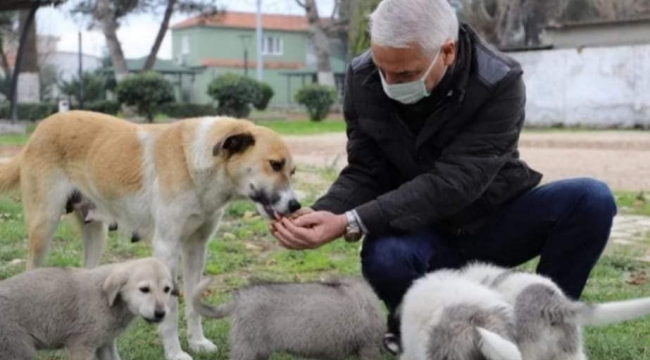 Başkan Bilgin elleriyle besledi