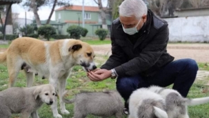 Başkan Bilgin elleriyle besledi
