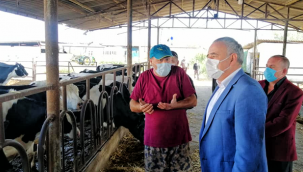 CHP'li Bakırlıoğlu'ndan bakana destekleme çağrısı