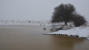 Demirci'de kar manzaraları