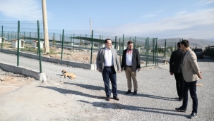 Finansmanı belediyeden işletmesini hayvan sever dernekleri yapacak