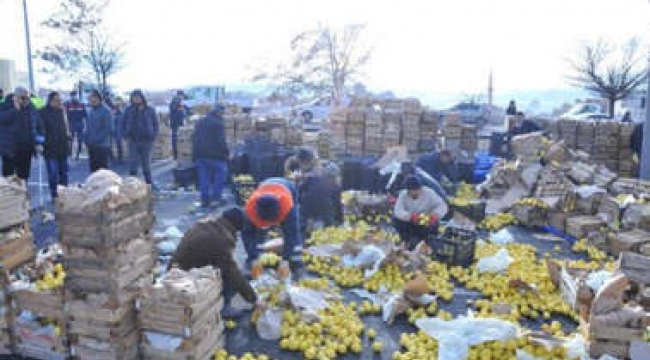 Limon yüklü TIR kaza yaptı