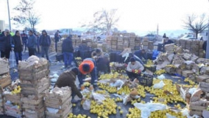 Limon yüklü TIR kaza yaptı