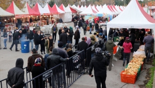 Vatandalar ekmek arası hamsi kuyruğuna girdi