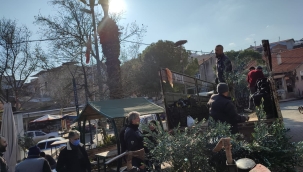 Çiftçilere 3.etap zeytin fidanı dağıtıldı