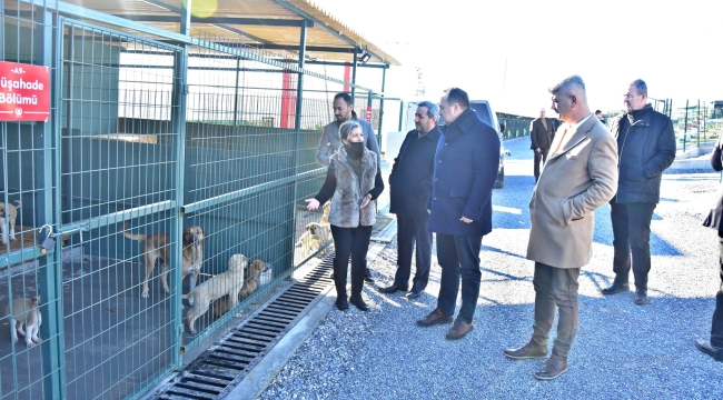 Akhisar doğal yaşam alanı hizmete açıldı