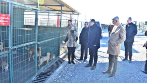 Akhisar doğal yaşam alanı hizmete açıldı