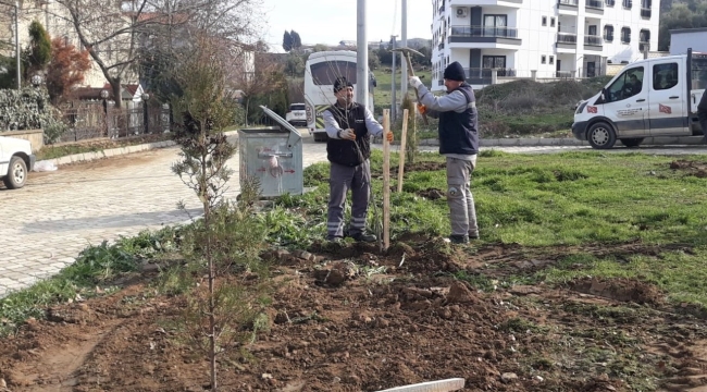 Belediye daha yeşil Turgutlu için çalışmaları hızlandırdı