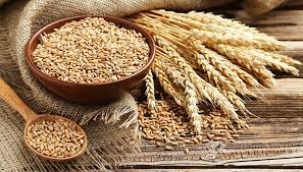 Buğday ve Arpaya zam