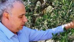 CHP'li Bakırlıoğlu, zirai ilaç fiyatlar %70, % 400 arttı