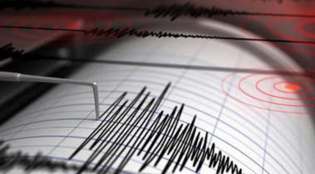 Ege denizinde 4.3 büyüklüğünde deprem