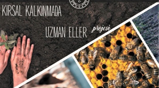Uzman eller projesi 2022 yılı başvuruları başladı