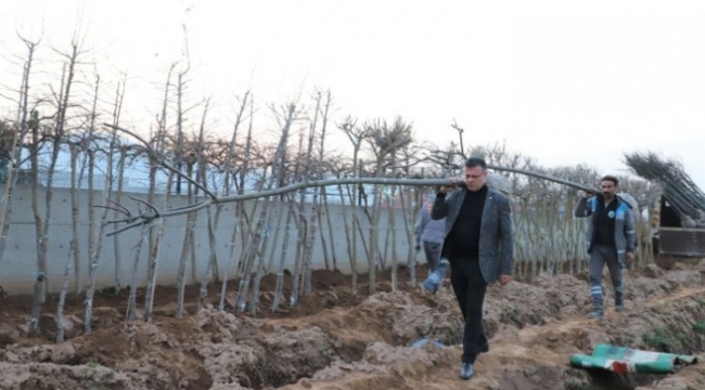 Alaşehir'de 1800 fidan toprakla buluşuyor