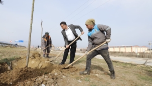 Alaşehir'de belediye başkanı çalışıyor