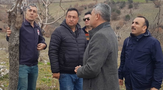 Antepfıstığı aşılama saha çalışması