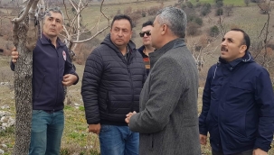 Antepfıstığı aşılama saha çalışması