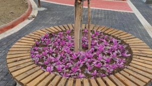  belediyesi çalışıyor Saruhanlı değişiyor