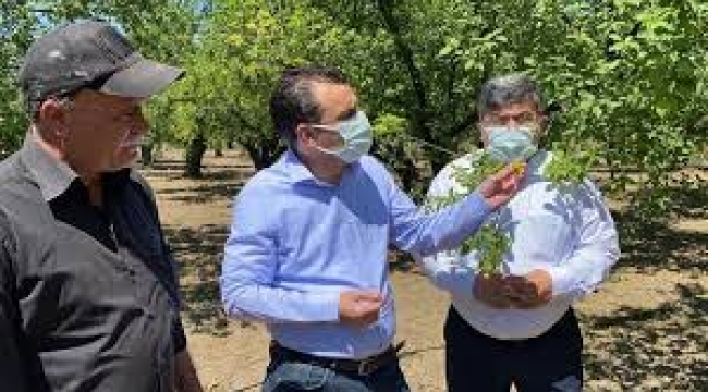 CHP'li Başevirgen"3 milyon tarım arazisi bankalara ipotekli "