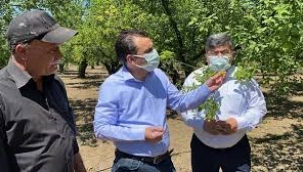 CHP'li Başevirgen"3 milyon tarım arazisi bankalara ipotekli "