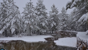 Demirci'de kış fotoğraf yarışması
