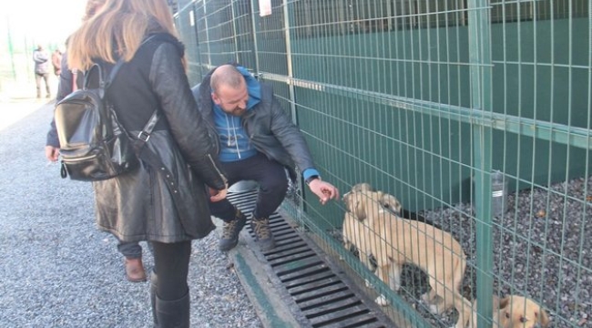 Hayvan sahiplenenlere kulübe hediye