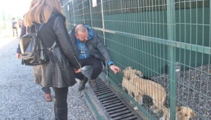 Hayvan sahiplenenlere kulübe hediye