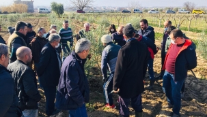 İlçelerde üreticilere tarım eğitimi