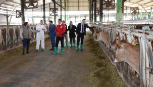 Öztürk hayvan işletmelerini gezdi