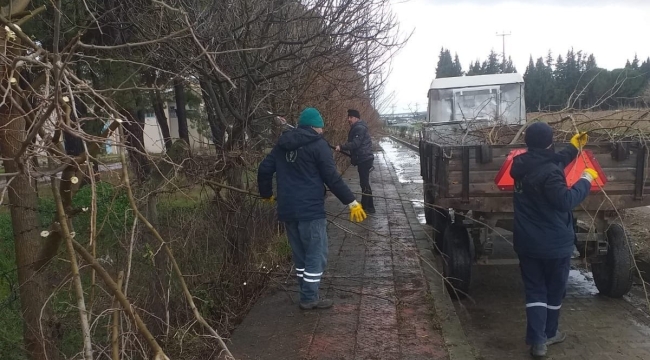 Saruhanlı belediyesinde park bahçe temizliği