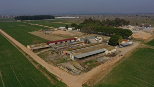 Saruhanlı 'ya modern hayvan bakımevi 