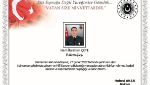 Silah kazası sonucu bir bir asker şehit