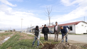 Yeşil bir Alaşehir için ağaçlar toprakla buluştu