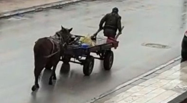 Atı yorulunca...ayın fotoğrafı