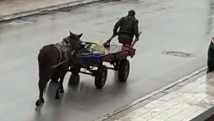 Atı yorulunca...ayın fotoğrafı