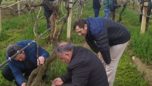 Bağda unlu bit mücadelesi eğitimi