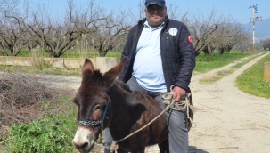 Manisa'da bekçiye ilginç ceza 'eşekli devriye'