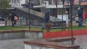 Belediye çalışıyor Saruhanlı güzelleşiyor