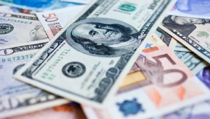 Dolar 14 lirayı aştı