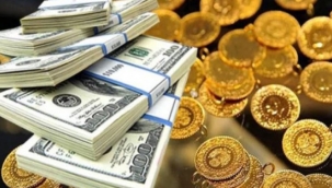 Dolar yükselişte, altın düşüşte