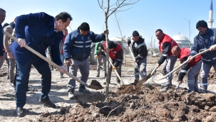 Fidanlar toprakla buluştu