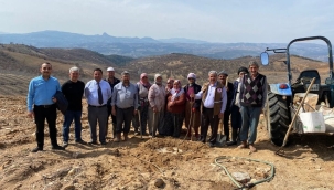 Gördes'te üreticiler, ceviz hastalıklarına karşı uyarıldı