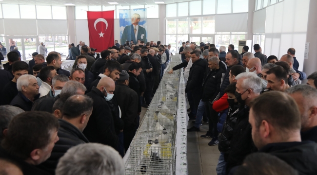 Güvercinler Akhisar festivalinde yarıştı