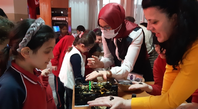 İlkokulu öğrencileri"böcekleri seviyorum doğayı koruyorum''şenliğinde