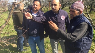 Konusunda uzman tarım elemanları saha çalışmaları sıklaştırıldı